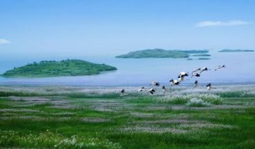 鄱阳湖